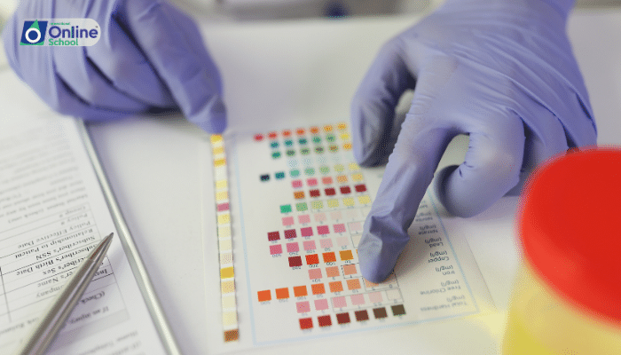 Lesson 07: Effect of pH on Enzyme Action
